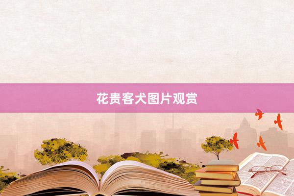 花贵客犬图片观赏