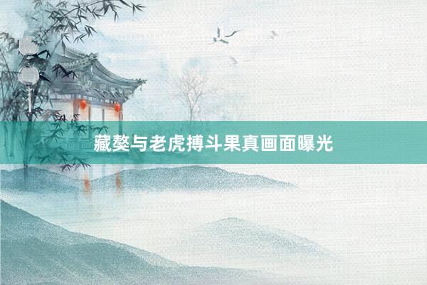 藏獒与老虎搏斗果真画面曝光